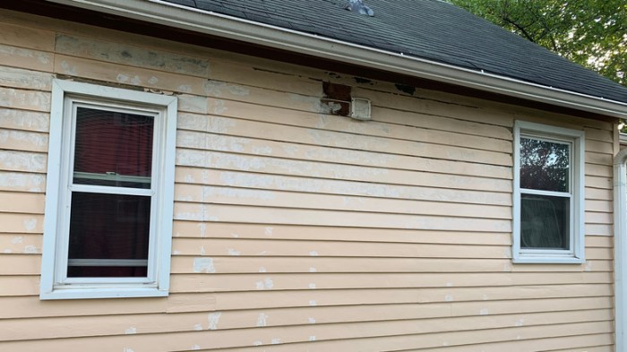 Cedar siding repair and painting near me